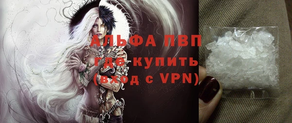 стаф Арсеньев