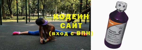 стаф Арсеньев